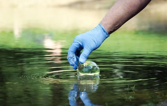 Calidad y Medio Ambiente